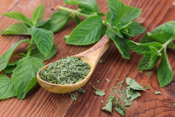 تصویر 3 از خرید قیمت نعناع خشک کوهی + قیمت فروش استثنایی